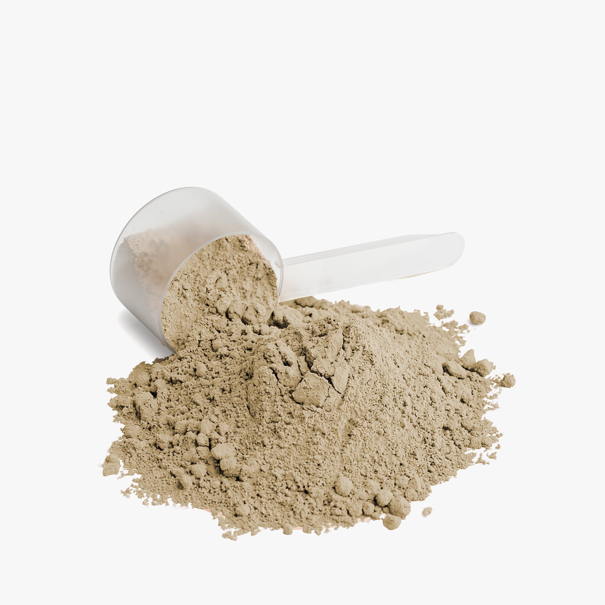 XLR8 Plant Protein (Vanilla)